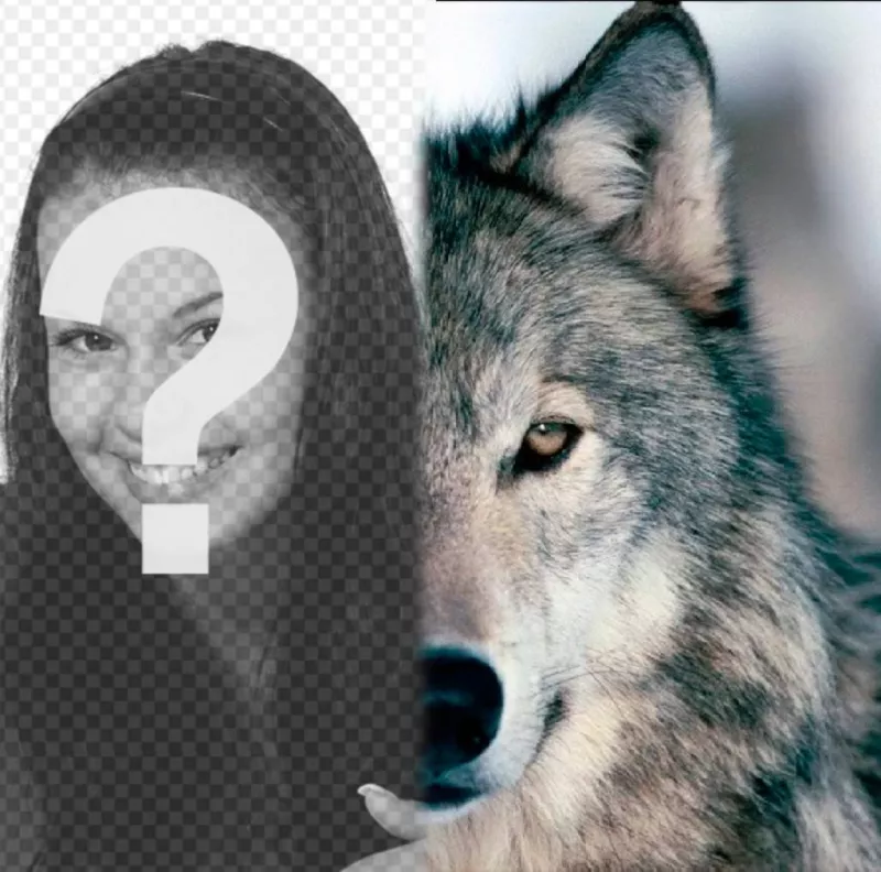 Photomontage de mettre un visage de loup à côté de vous, remplir votre moitié. ..