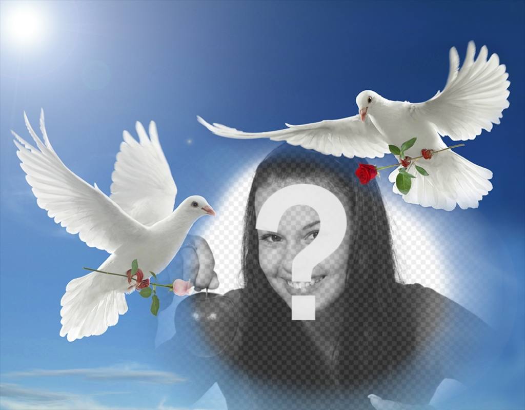 Effet de Photo de paix avec deux colombes blanches volent ..